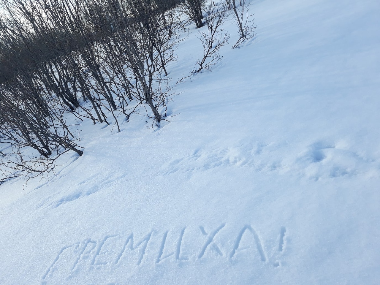 С первым снегом картинки прикольные с надписями