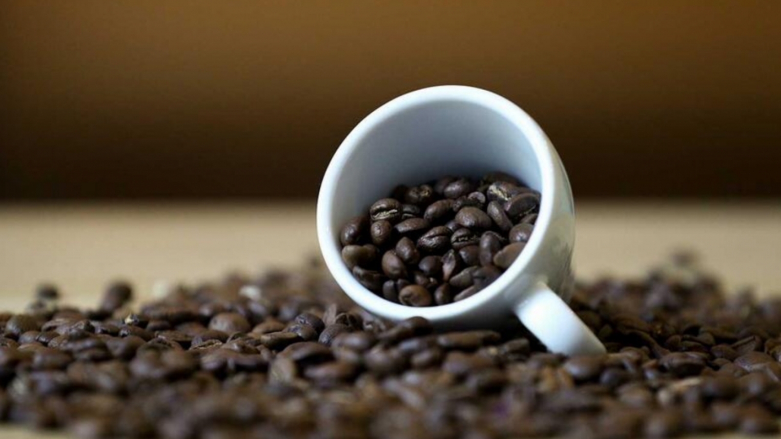 Потребление кофе в России и Финляндии сравнили на калькуляторе