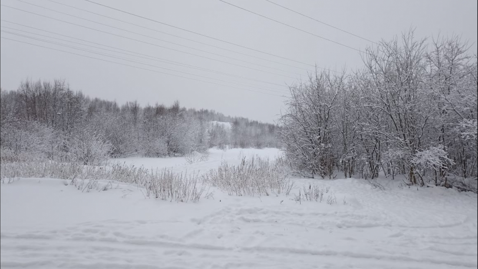 Мурманск набрал почти месячную норму осадков февраля