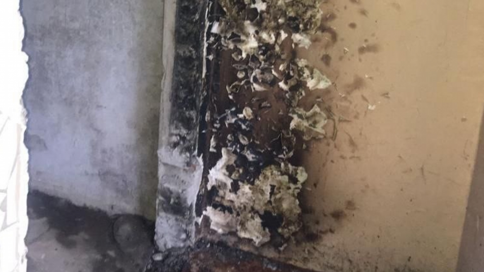 Прокуратура занялась пожаром в ковдорской школе