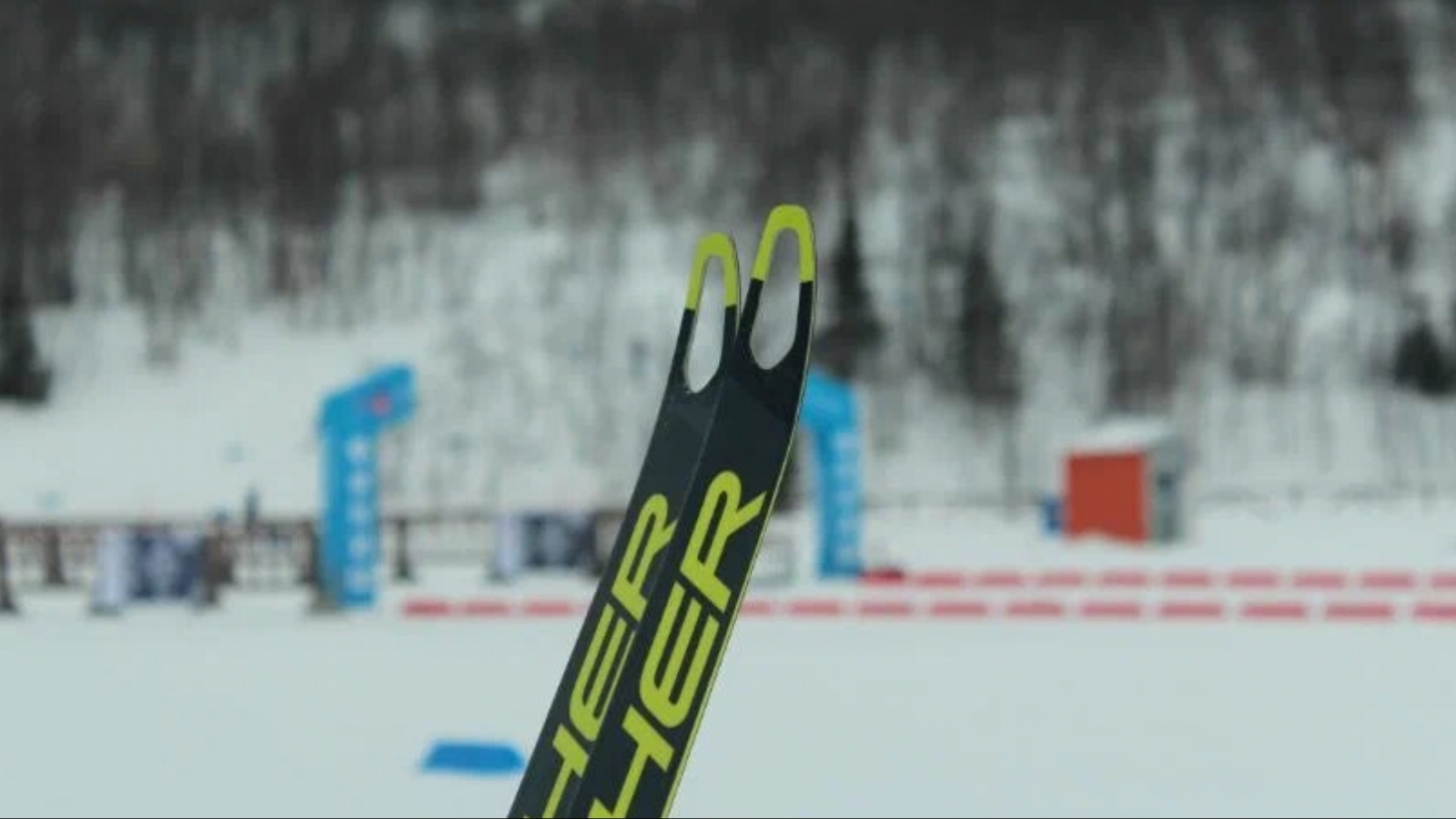 Для трансляции Мурманского лыжного марафона выделили 904 тысячи