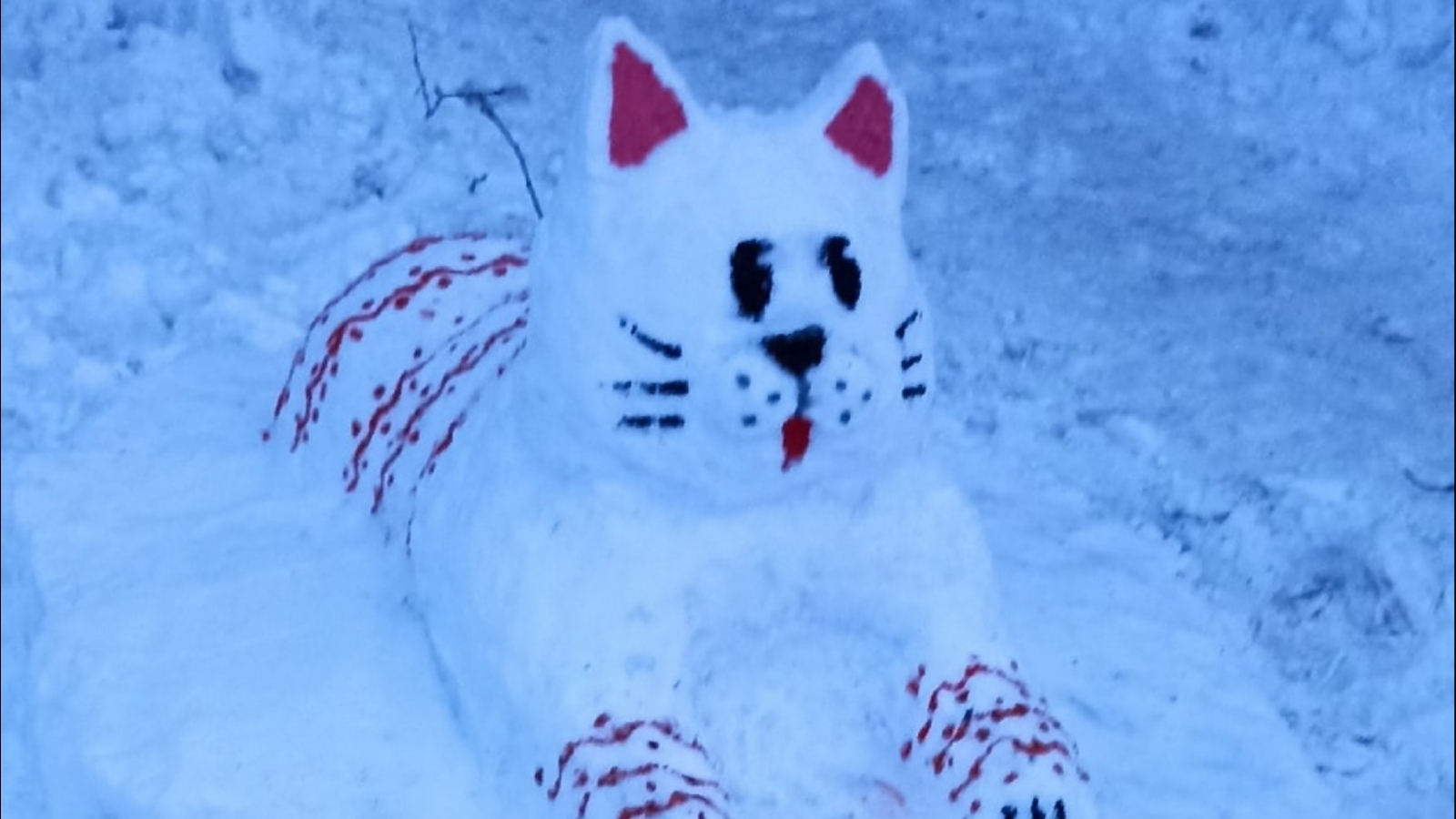 В Росте поселился снежный кот