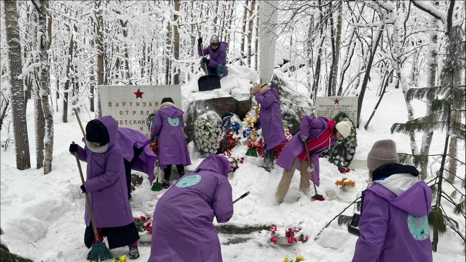 Волонтёры почистили от снега «Партизанский кедр»