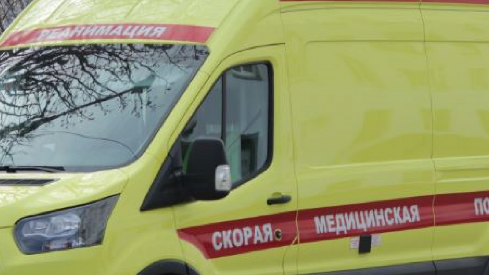 В российском регионе алководитель насмерть сбил двух детей