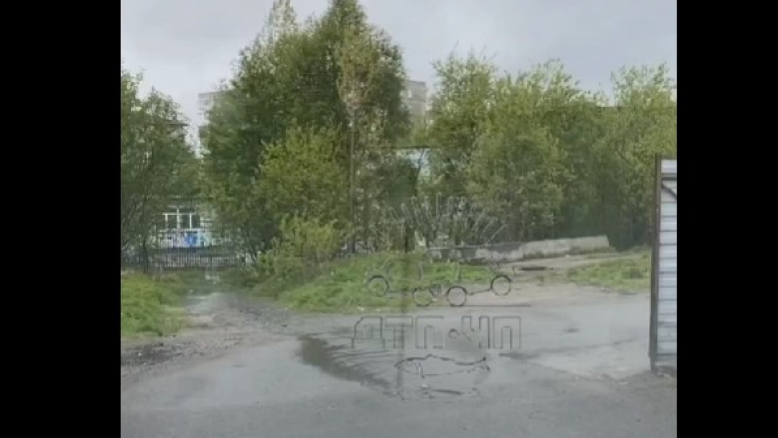 В Мурманске появился термальный ручей [видео]