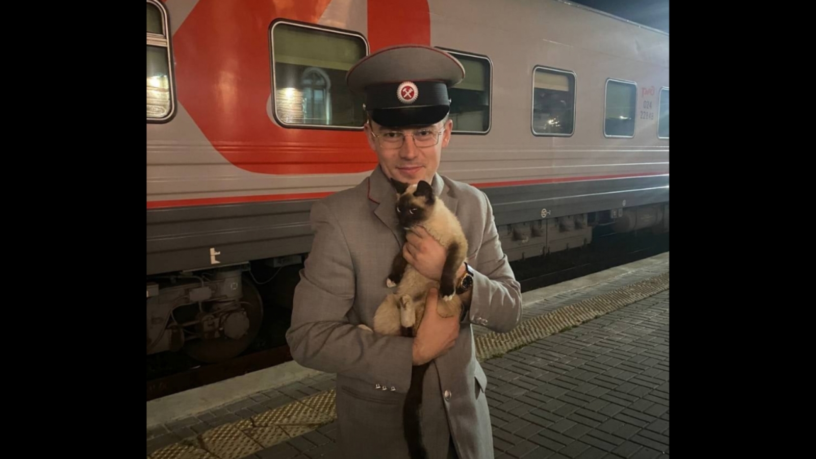 В Нижегородской области ищут хозяев сбежавшего из мурманского поезда кота