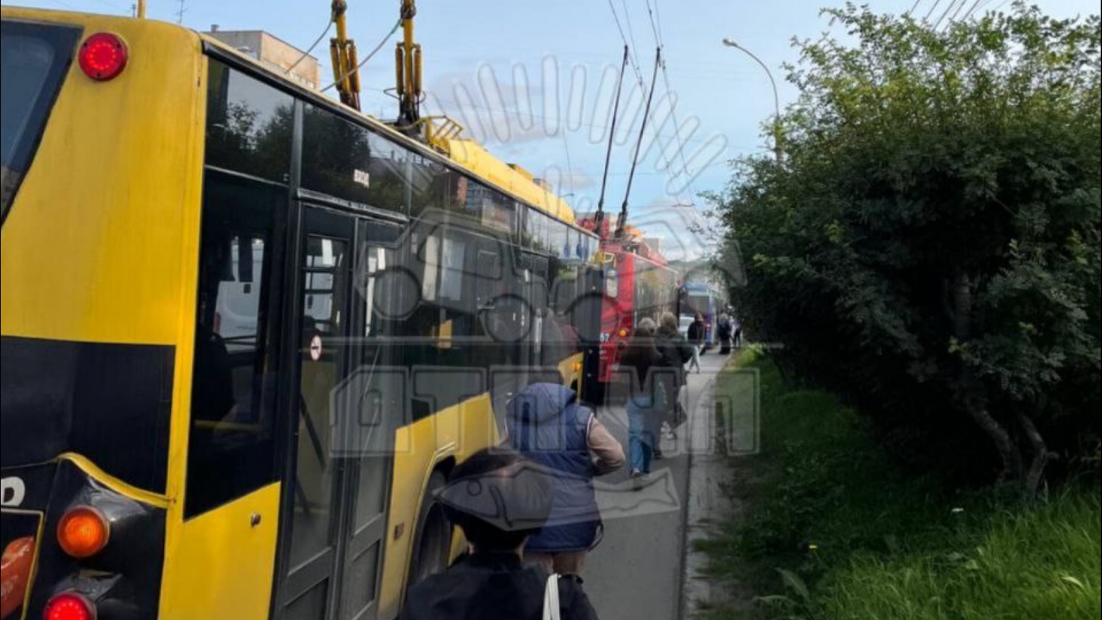 В Мурманске вновь встали троллейбусы