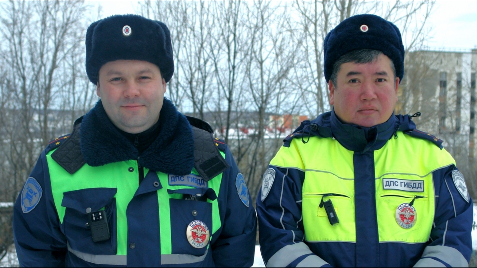 В Североморске полицейским пришлось с «мигалками» провожать лошадь