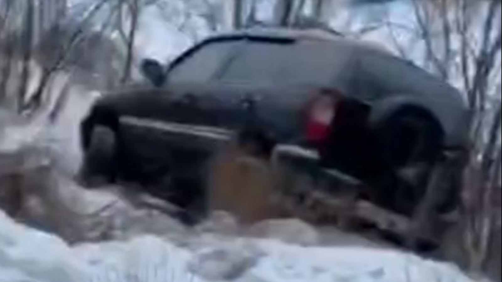 В Мурманске автолюбитель сломал деревья и бросил машину [видео]