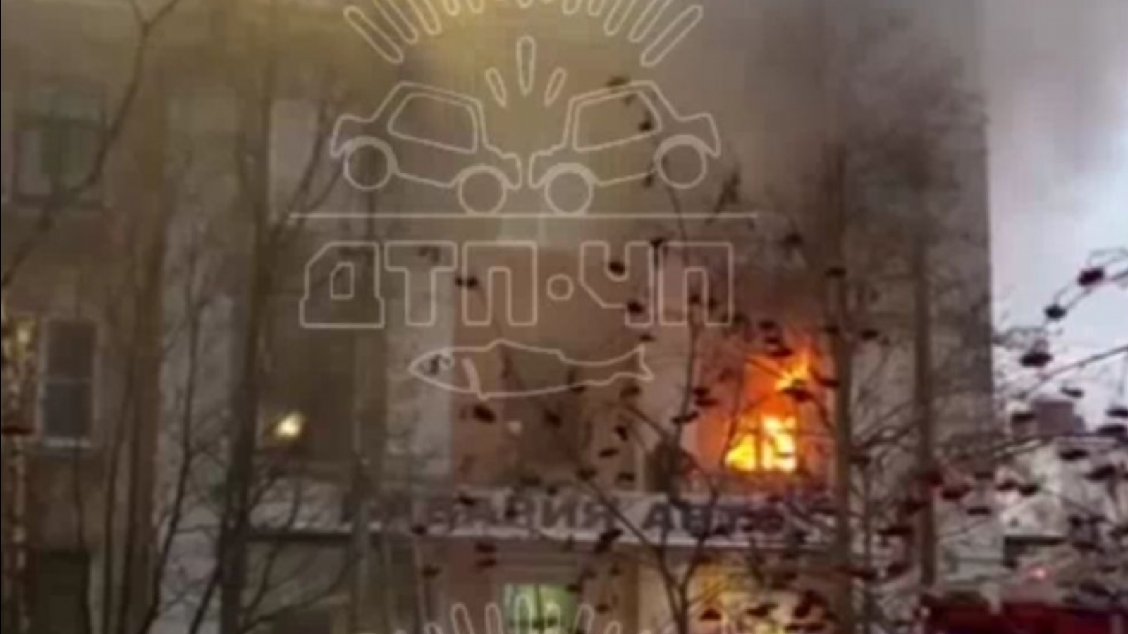 Пожар в Мурманске попал на [видео]