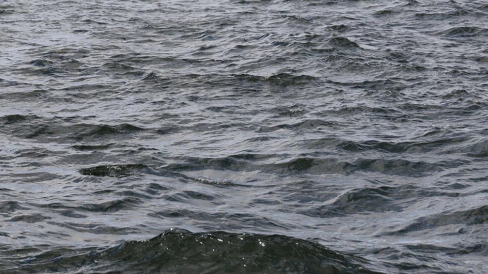 Маломерным судам ограничили выход в Баренцево море