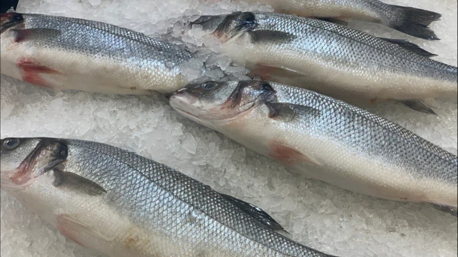 «Наша рыба» в Мурманске осталась без охлаждёнки