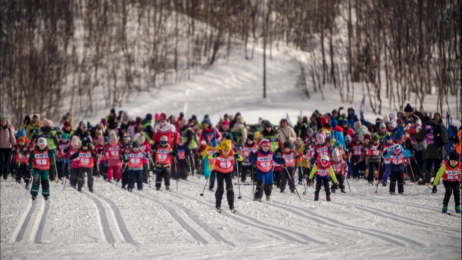 Мурманский лыжный марафон пройдет для детей в новом формате