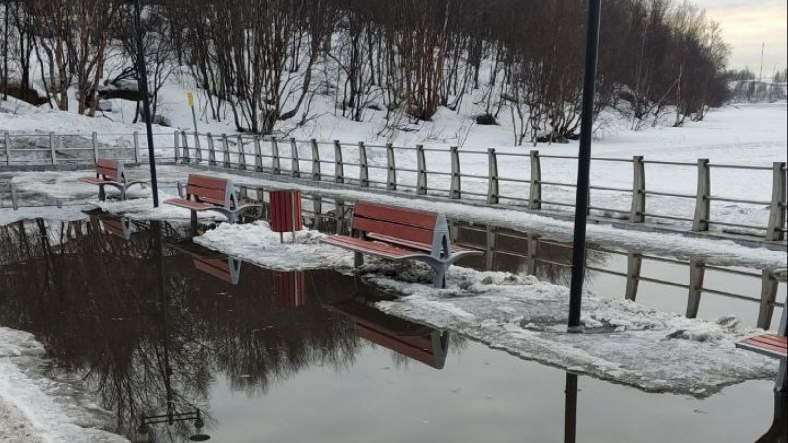 В парке на Семёновском озере появились «дорожки для плавания»