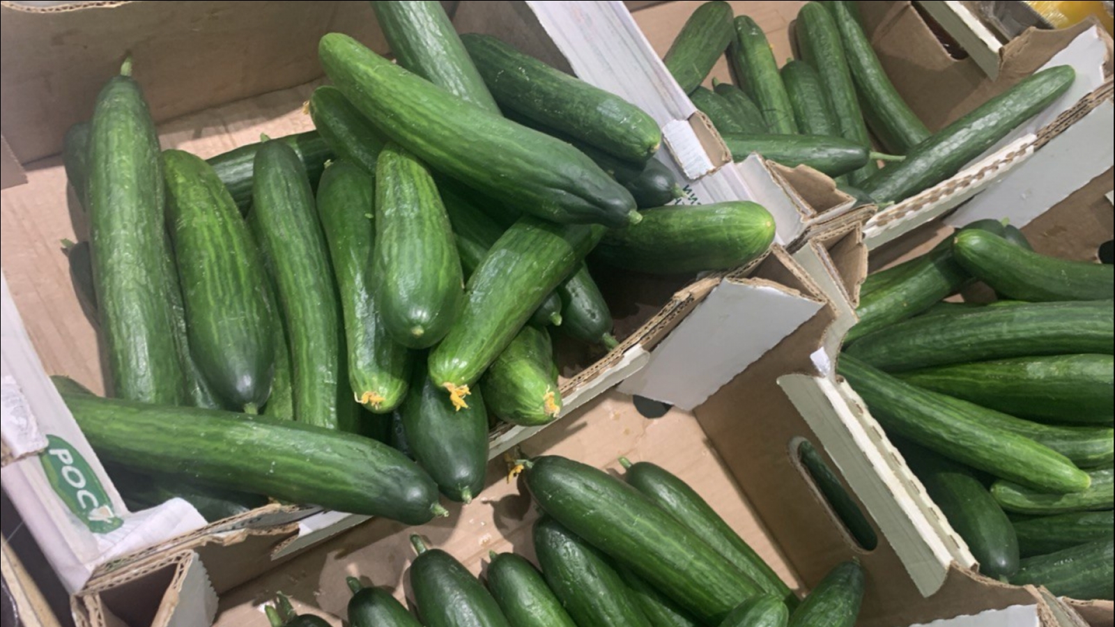 Овощи и фрукты замедлили инфляцию в Мурманской области
