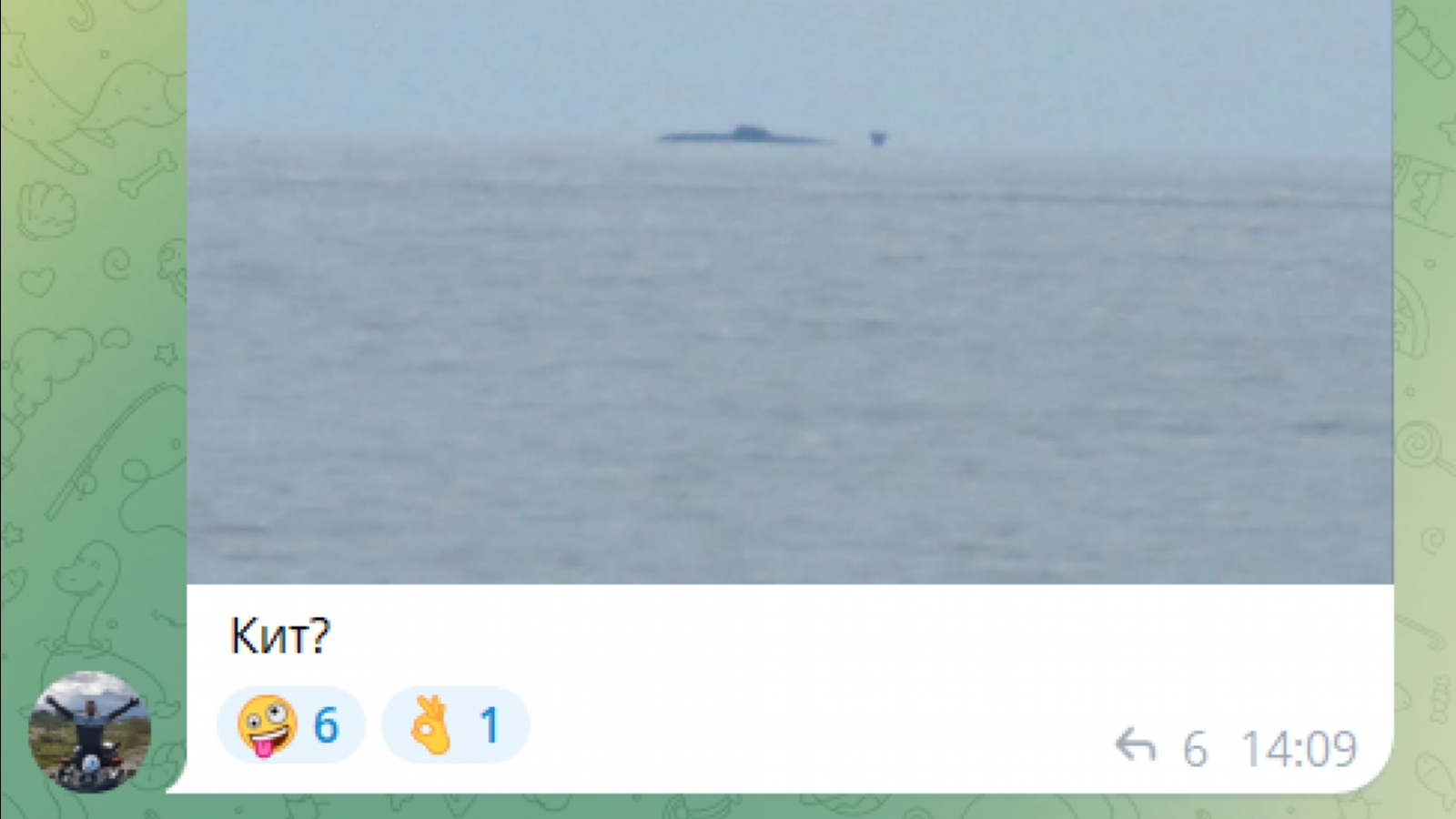 В Териберке субмарину перепутали с китом