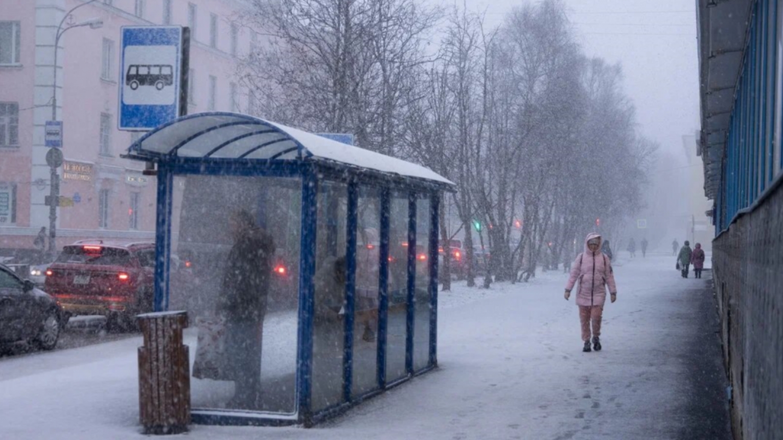 За два дня снежный покров в Мурманске вырос на 10 см