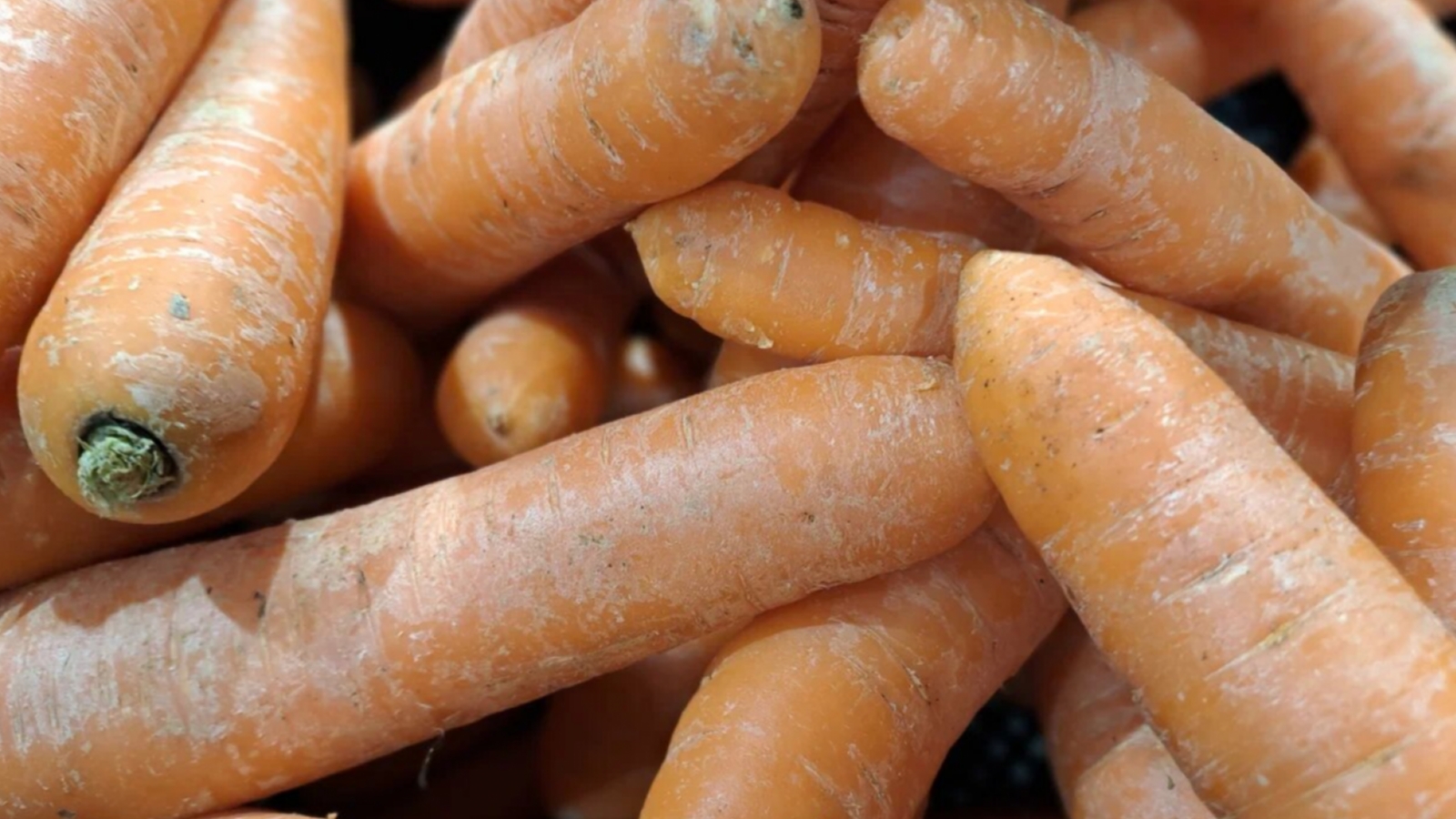 Морковь и картофель подорожали в Заполярье
