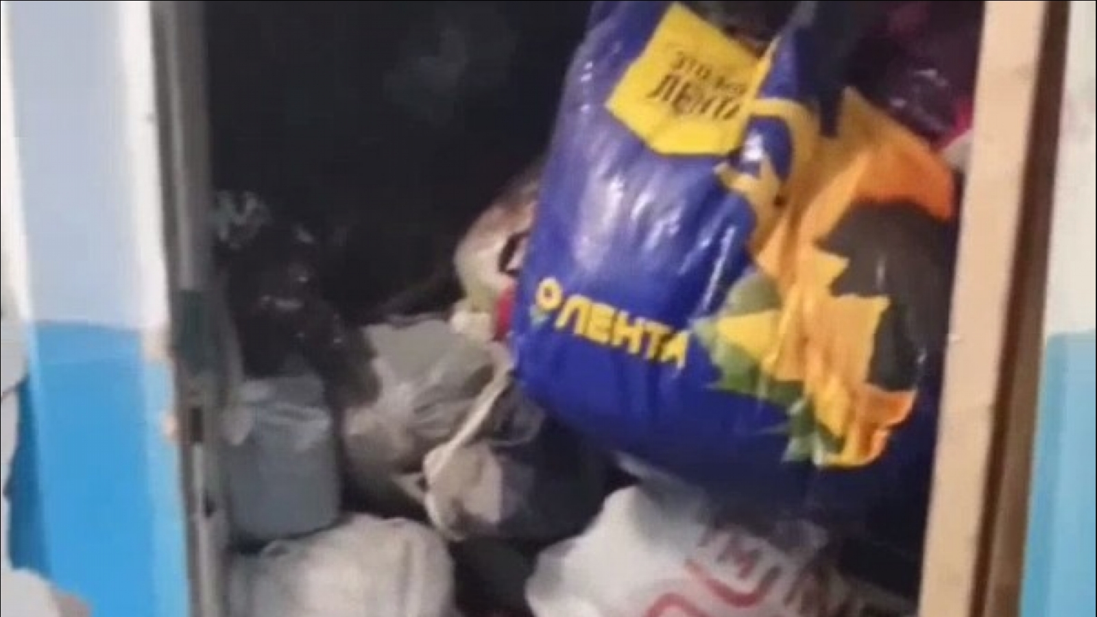 Забитая мусором квартира в Мурманске попала на [видео]