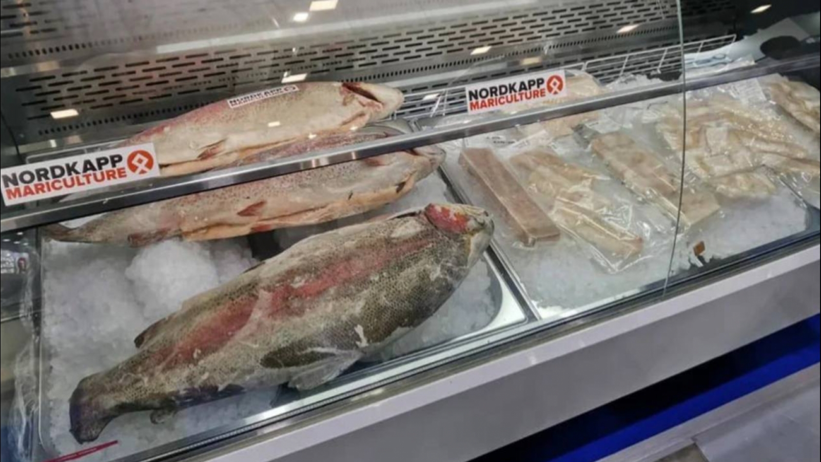 Шашлык из рыбы на майских россияне ели чаще говяжьего 