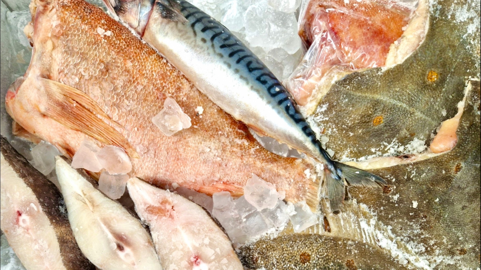 Экспортёров рыбной продукции и морепродуктов зазывают в Циндао