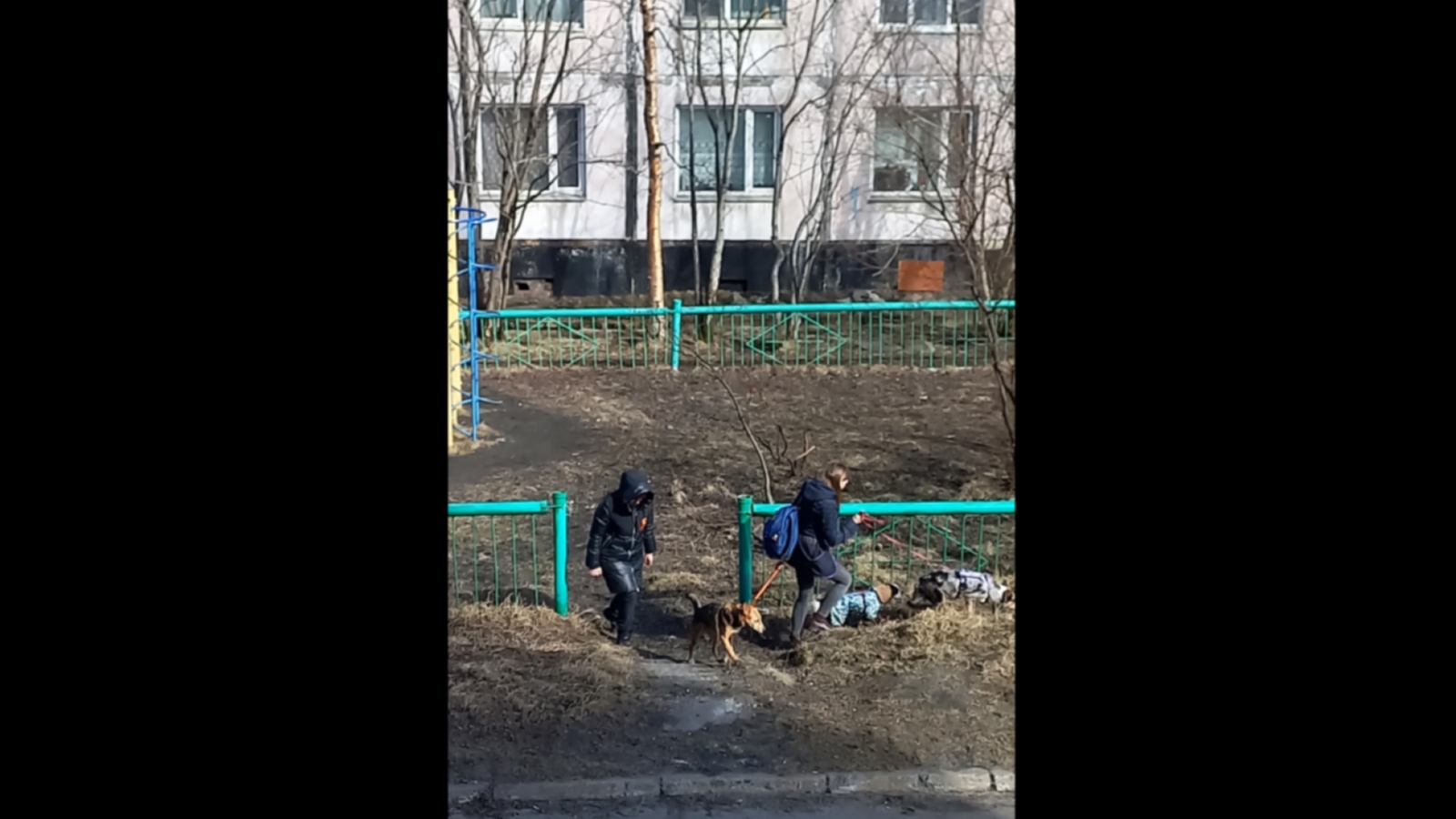В Росляково жители дрессируют собак на детской площадке