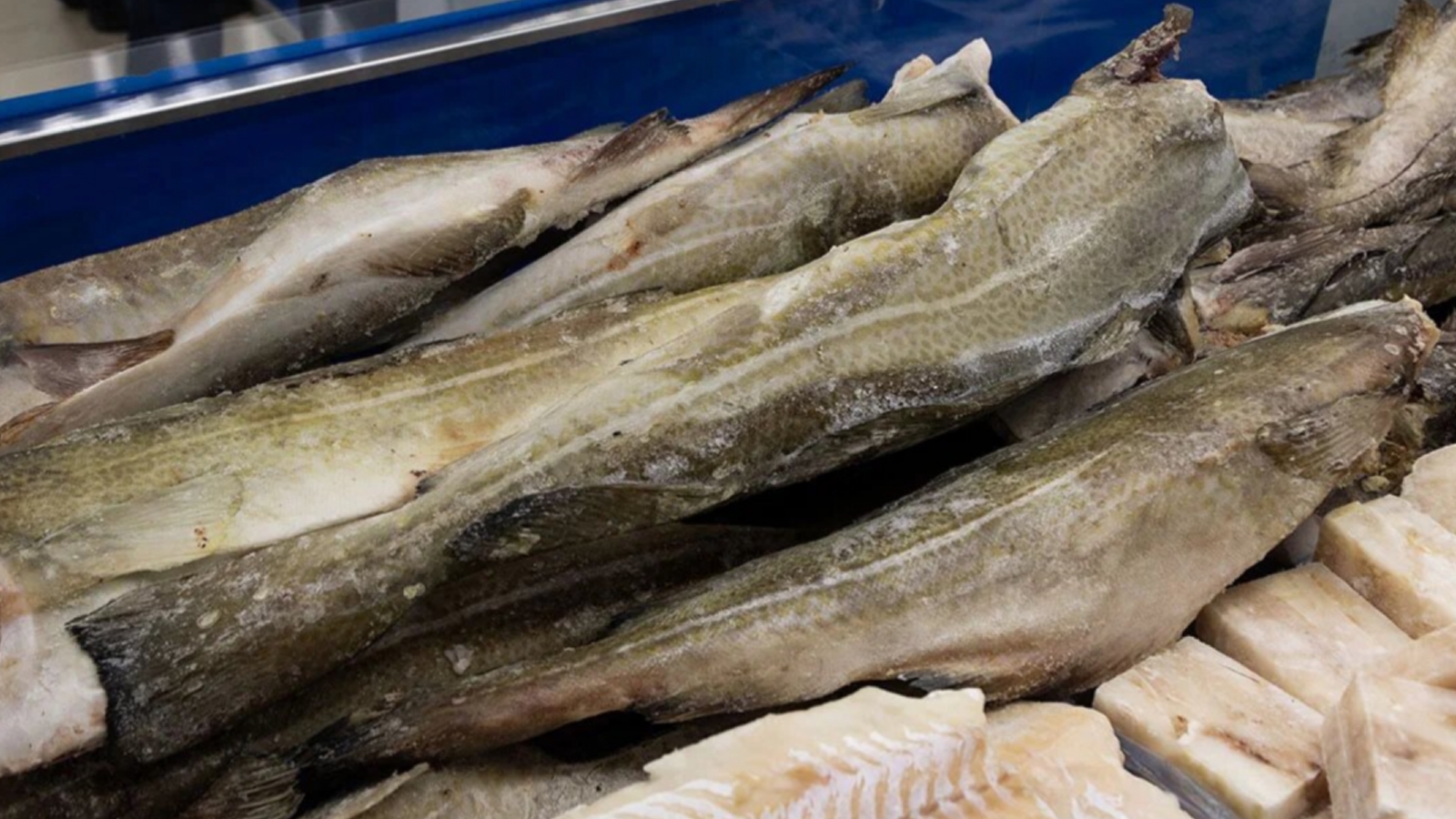 «Фантомного» производителя рыбы выявили в Мурманской области