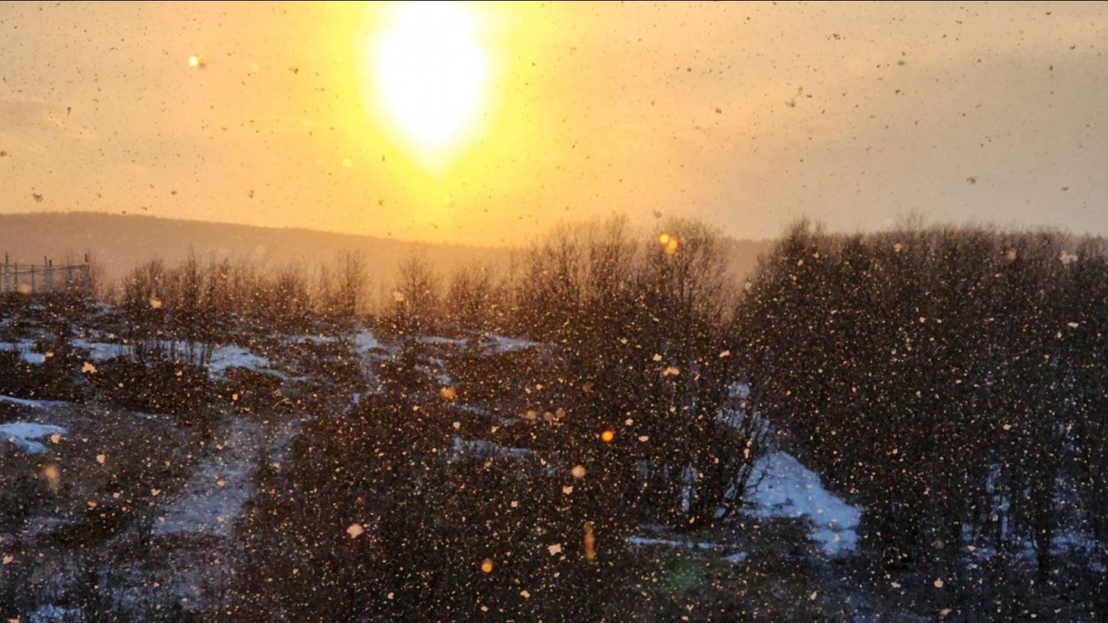 В Мурманске идёт «грибной» снег [видео]