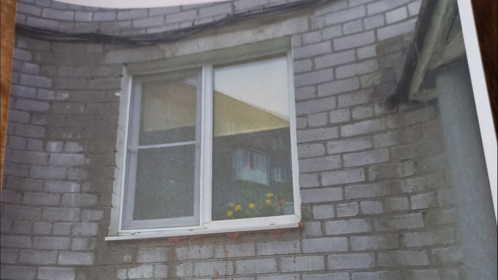 Инвалид в Оленегорске живёт с квартире с мокрыми стенами