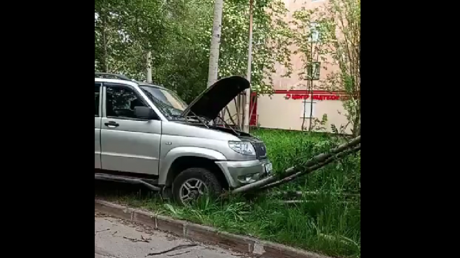 В Апатитах УАЗ снёс рябины у дороги [видео]