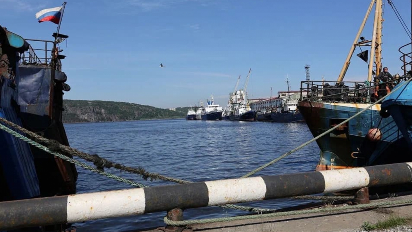 Шестаков о рыбном порте Мурманска: От краба – до косметологии