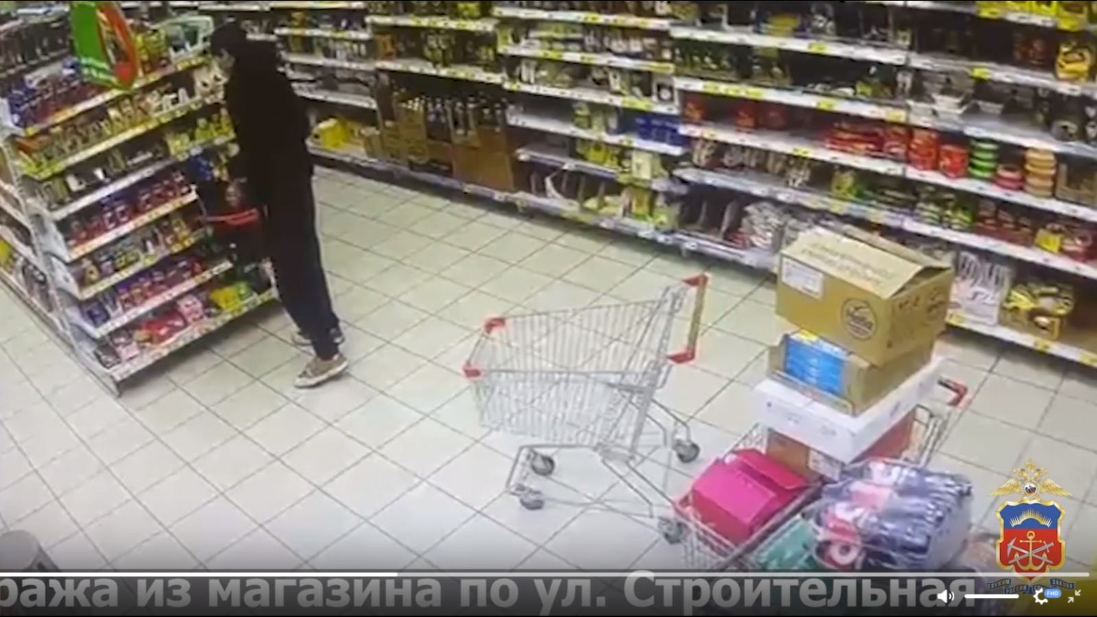 В Оленегорске задержали серийного похитителя продуктов [видео]