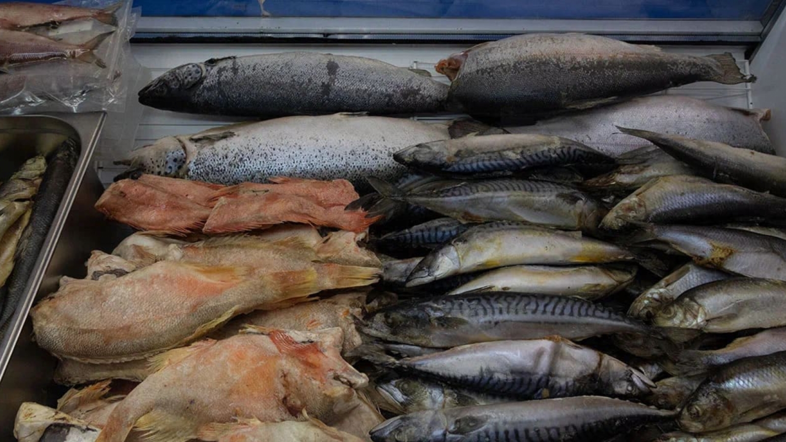 Америка добивается отмены экомаркировки для российской рыбы 