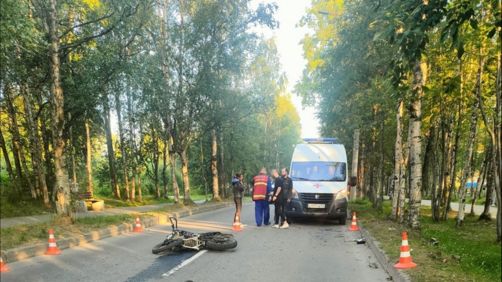 В Кандалакше мотоциклист столкнулся с деревом и погиб