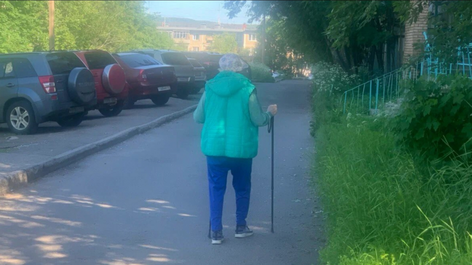 Мякишев: Пожилые северяне хотят заниматься скандинавской ходьбой и рукоделием