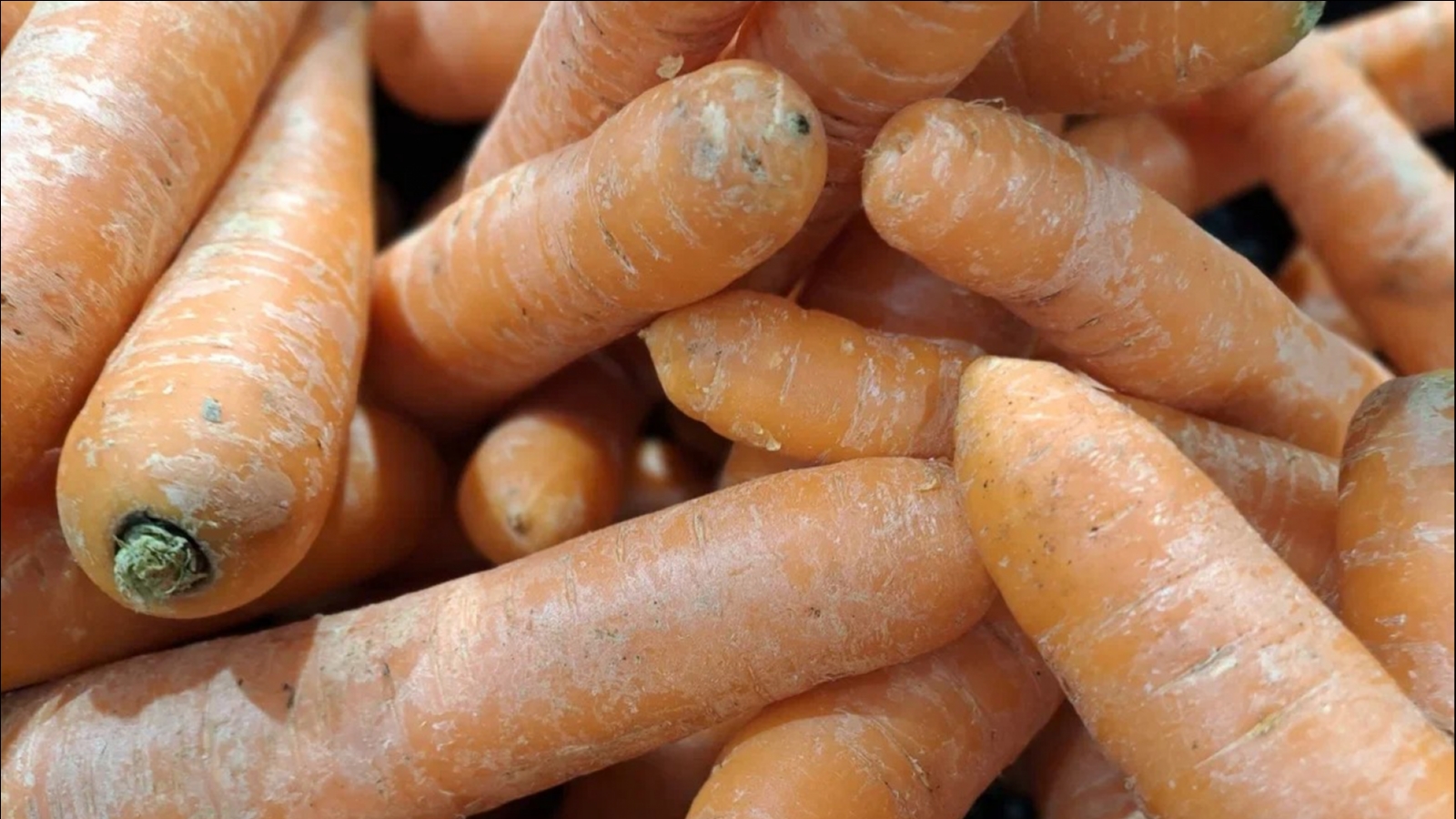 В Заполярье подешевели картофель и морковь