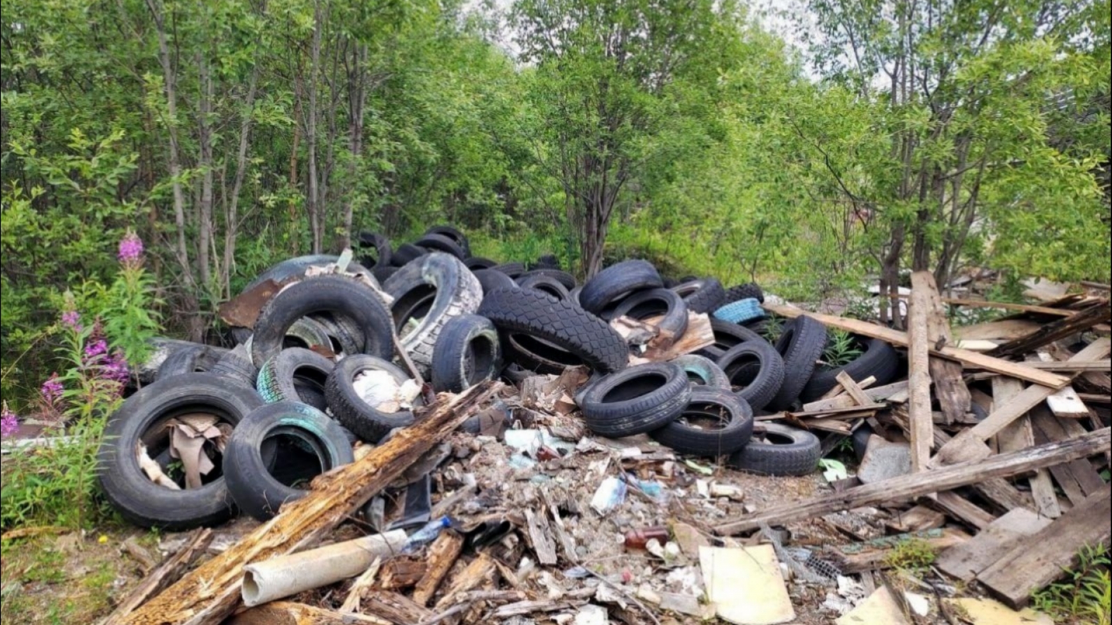 В лесу Заполярья устроили свалку